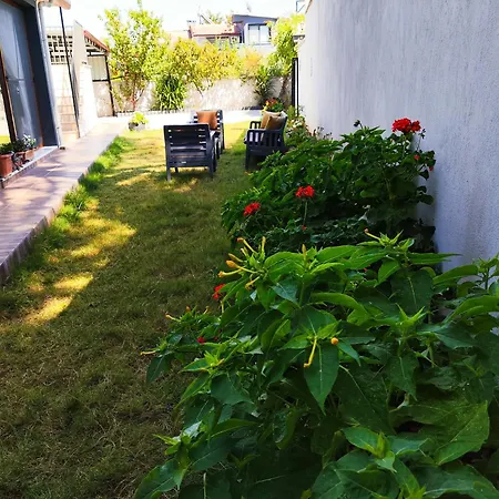 Esse Garden House - With The Garden Special For *