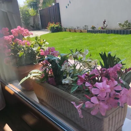 Esse Garden House - With The Garden Special For