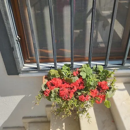 Esse Garden House - With The Garden Special For Сasa de vacaciones *
