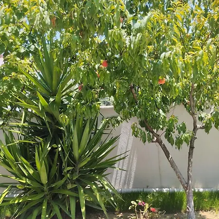 Esse Garden House - With The Garden Special For Kusadasi